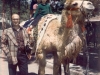 dad-camel179